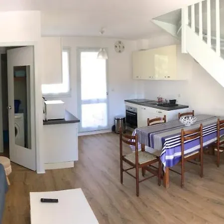 公寓 Ref 213 , Ocean, Patio Classee 2 Etoiles Au Calme, Et Centre A 5min, 5 Personnes 塞尼奥斯
